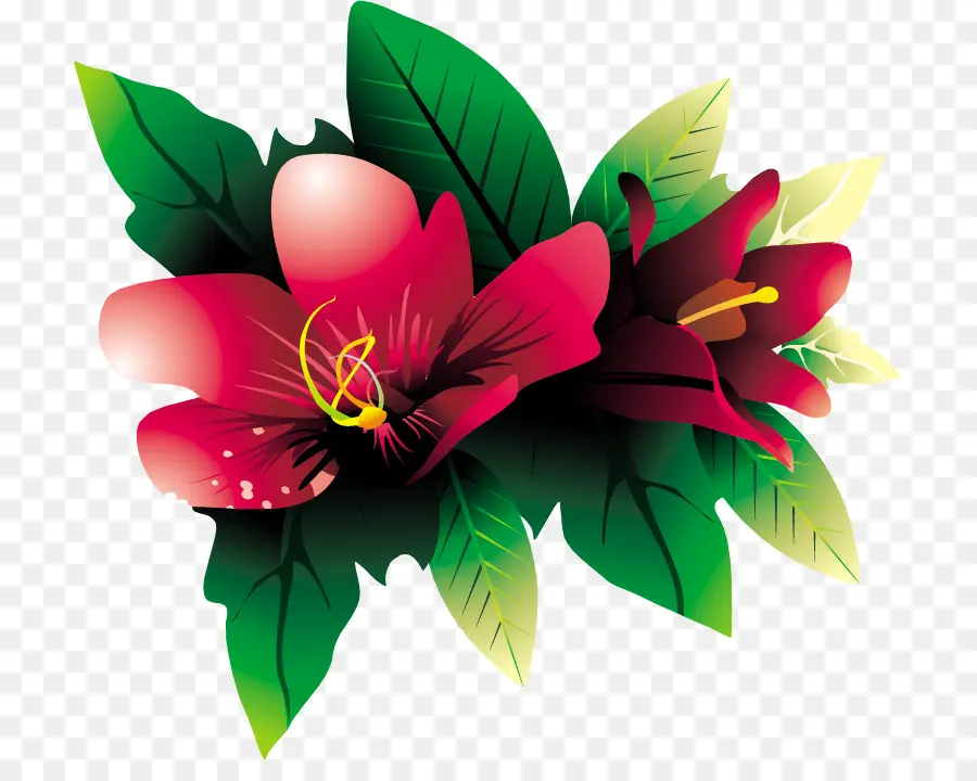 Flor，Descargar PNG