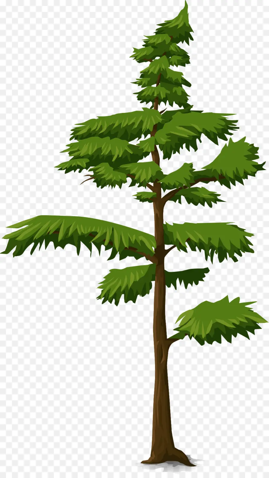 árbol，Tronco PNG