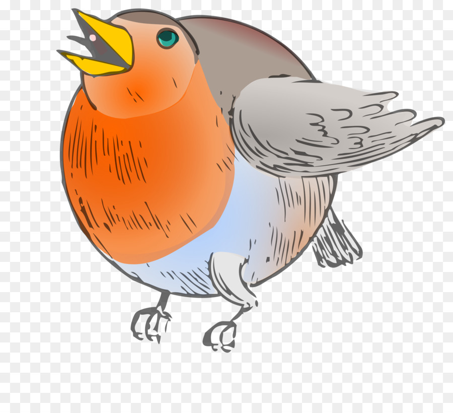 Pájaro De Dibujos Animados，Alas PNG