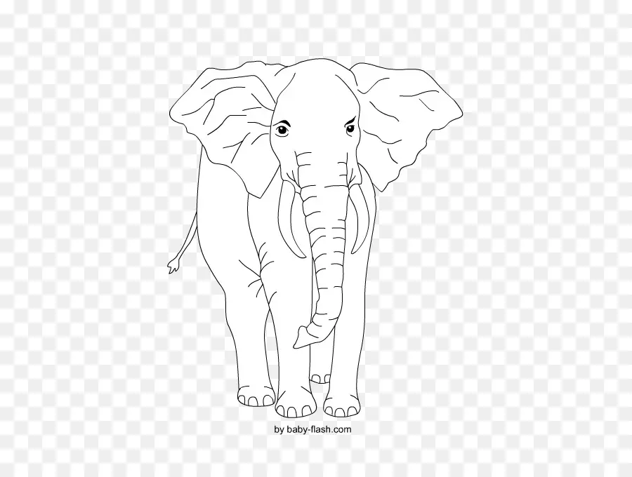 El Elefante Africano，Elefante PNG