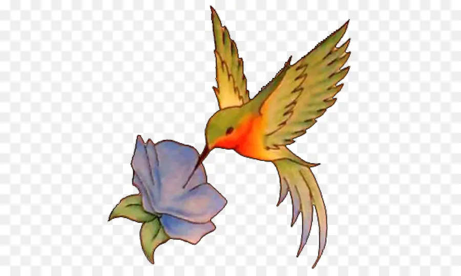 Colibrí Y Flor，Vuelo PNG