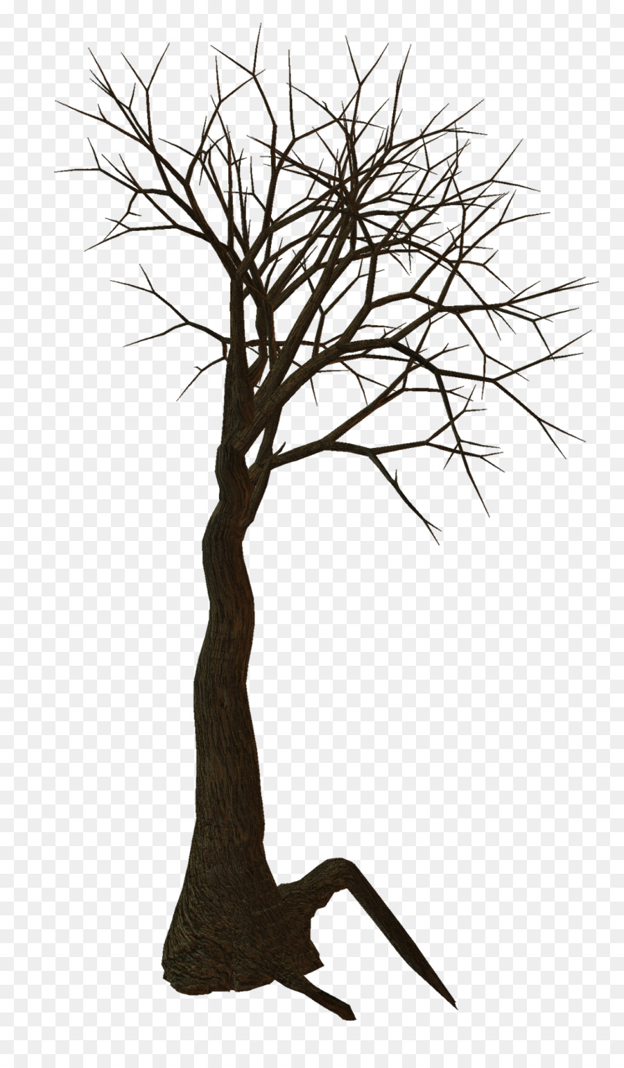 árbol Desnudo，Rama PNG