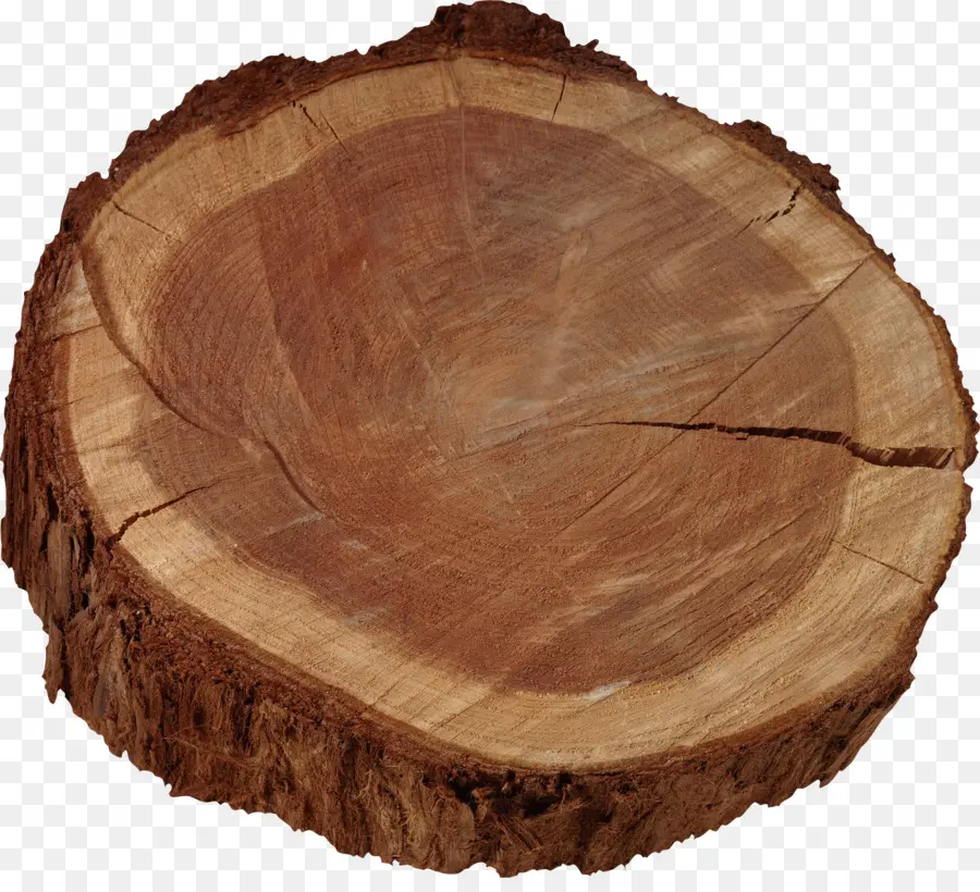 Tronco De Madera，Árbol PNG