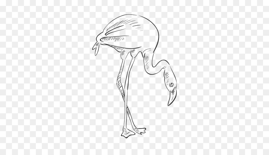 Pájaro，Dibujo PNG