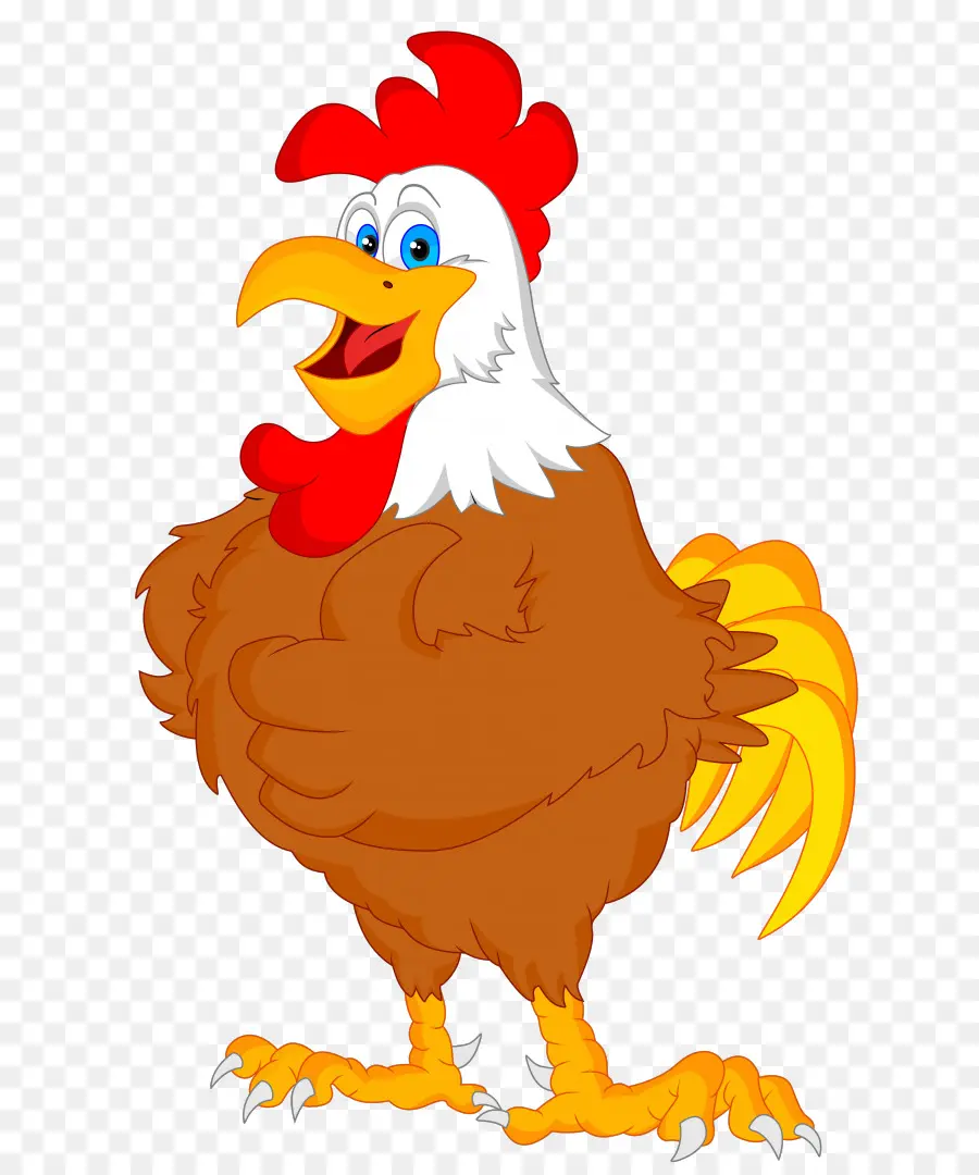 Pollo，Gallo PNG