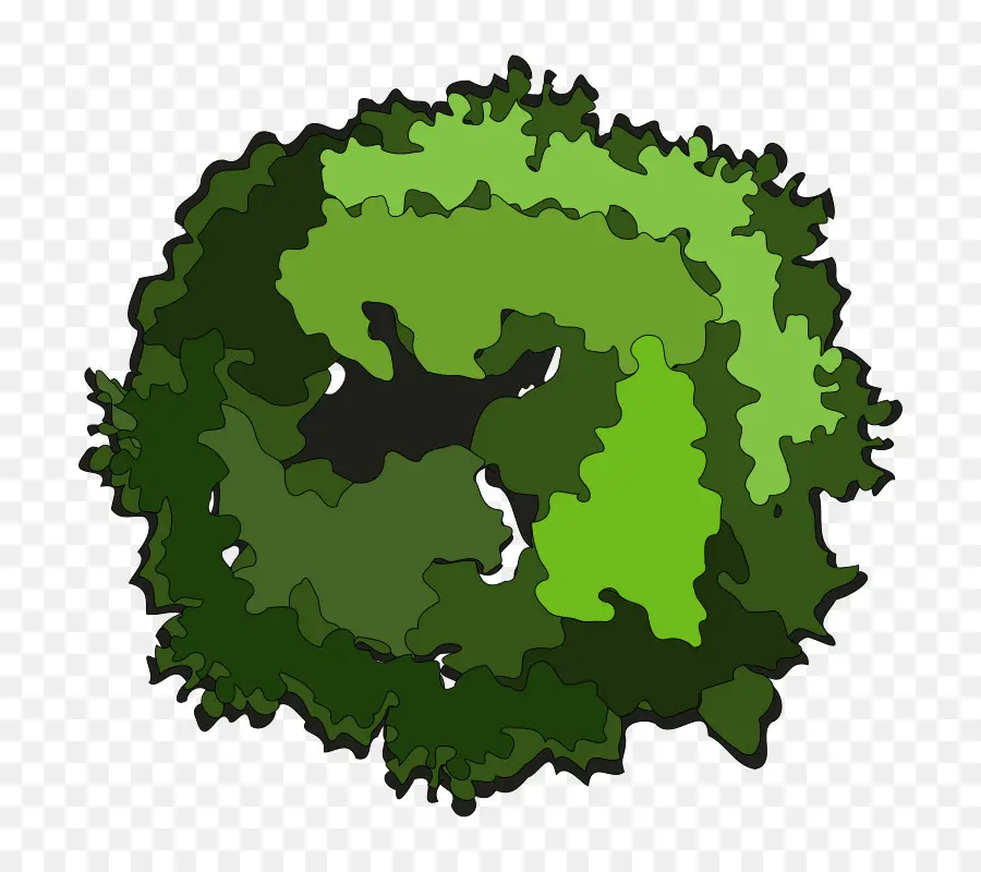 árbol，Arbusto PNG