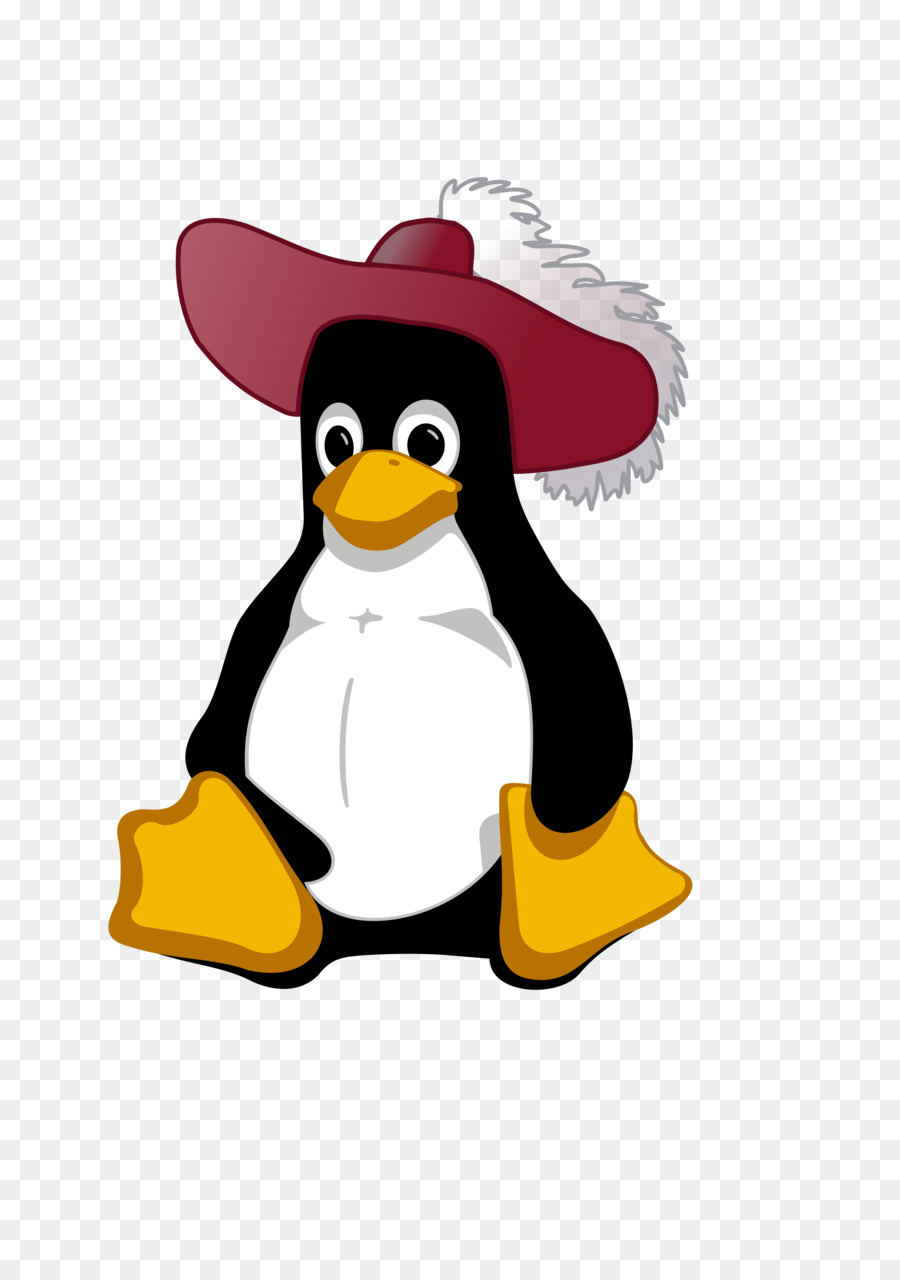 Pingüino Con Sombrero，Lindo PNG