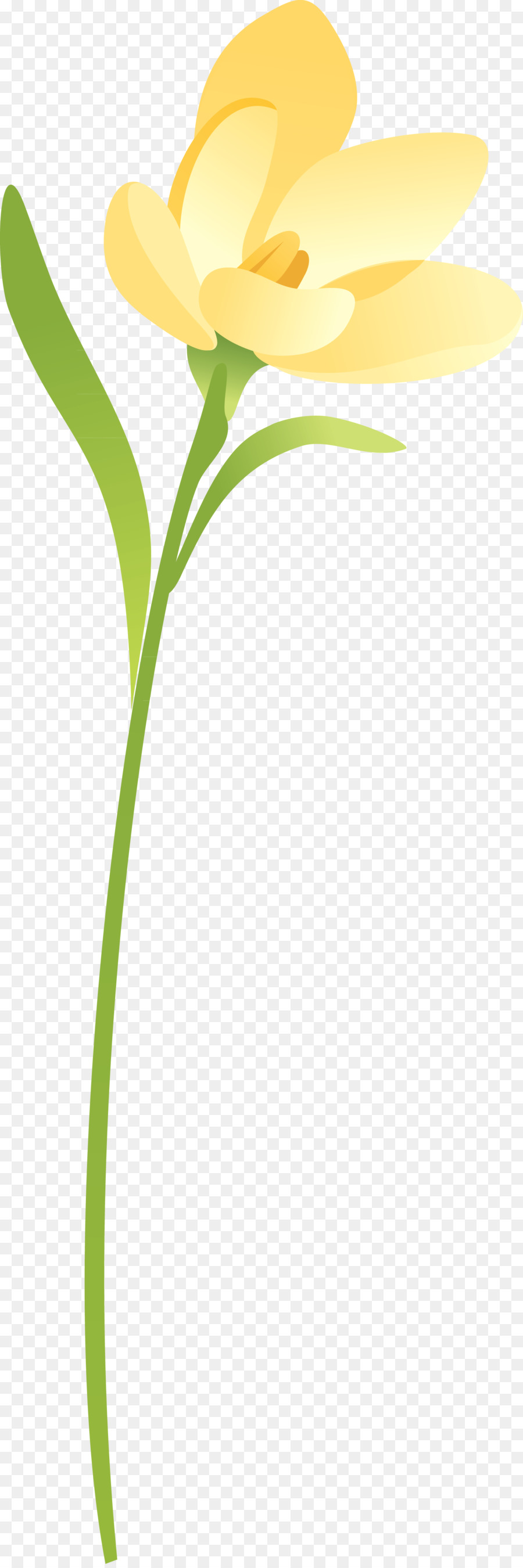 Flor，Vástago PNG