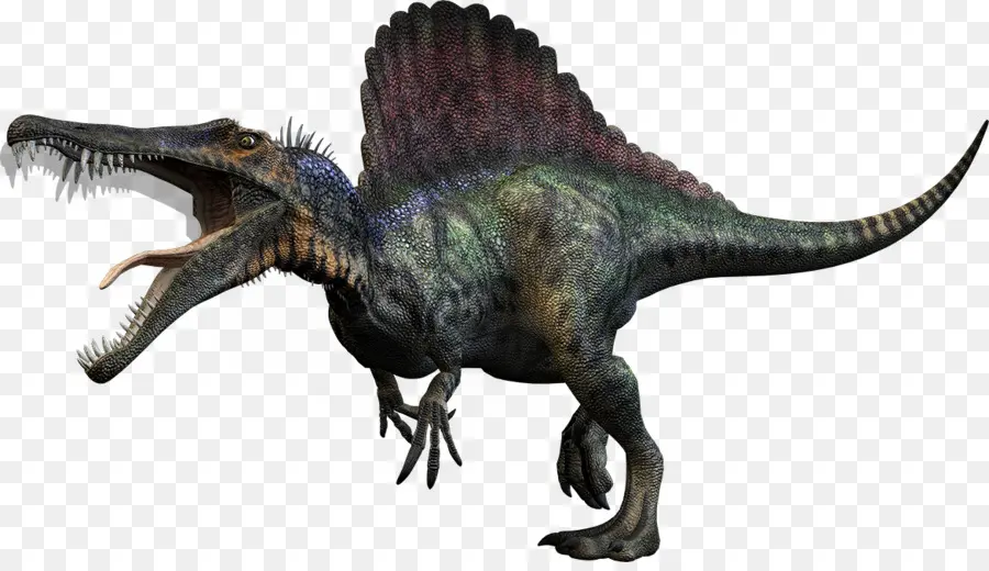 Cazador De Dinosaurios Carnívoros，Spinosaurus PNG