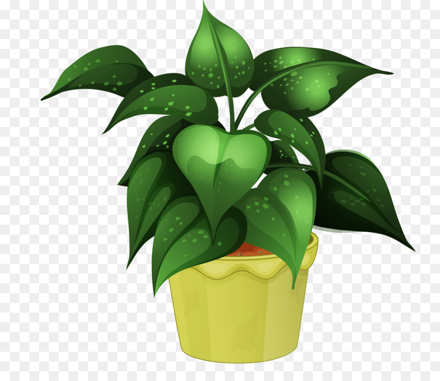 Planta，Planta De Interior PNG