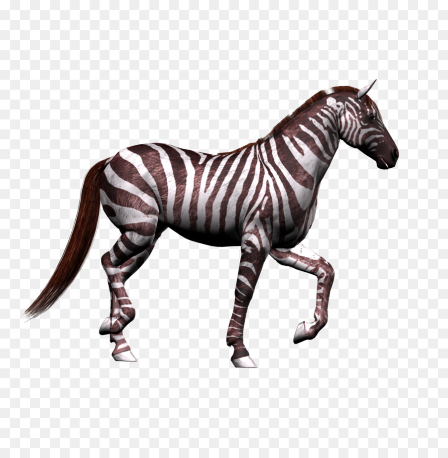 Caballo，Terminator PNG