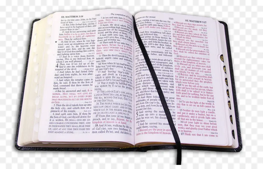 La Biblia，Nueva Versión Del Siglo PNG