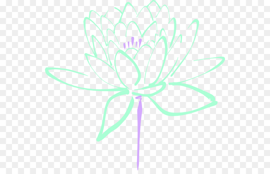 Egipcio De Lotus，Flor PNG