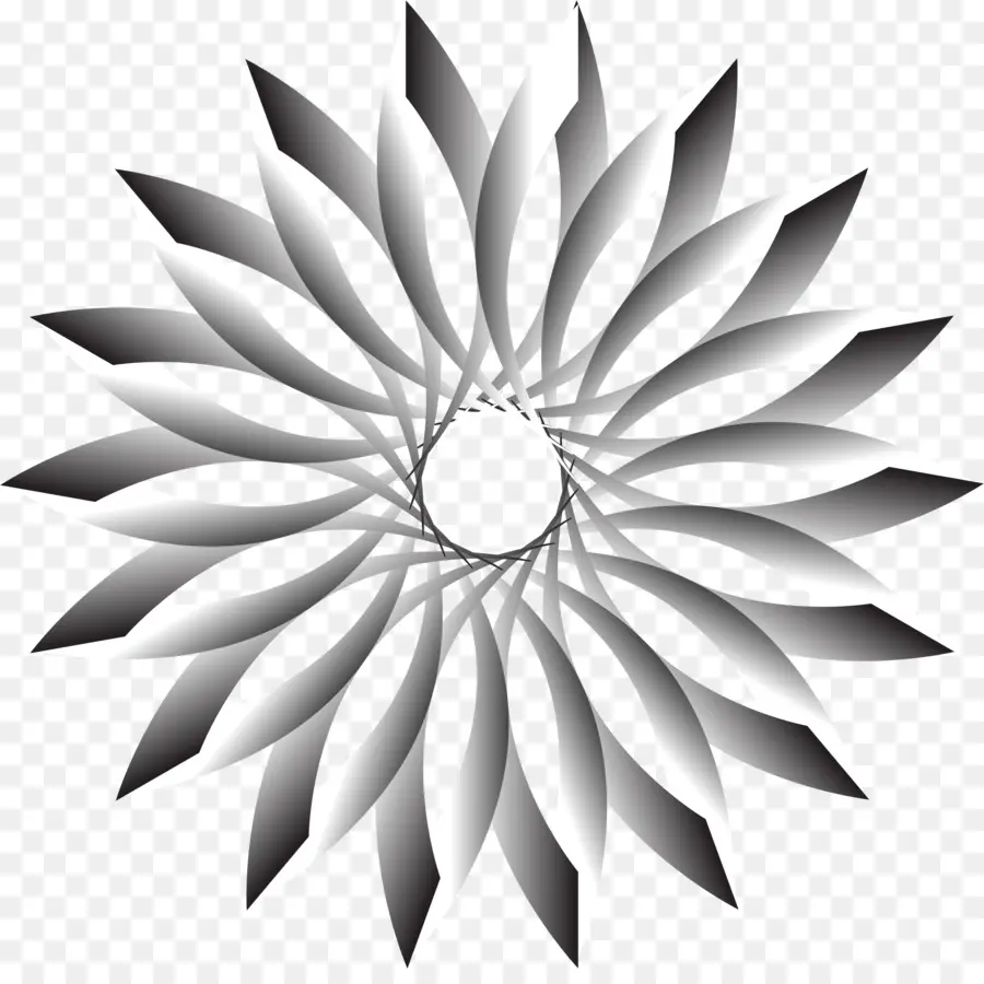 Flor En Blanco Y Negro，Flor PNG