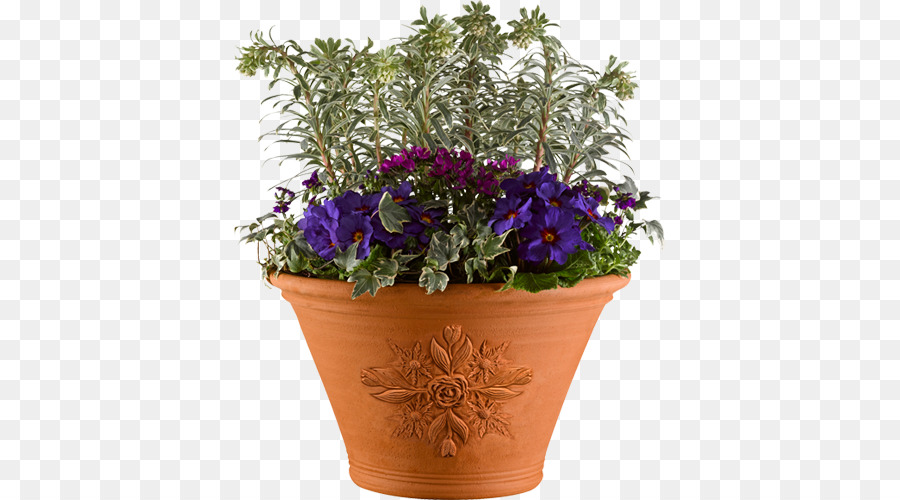 Show De Flores De Chelsea，Maceta PNG