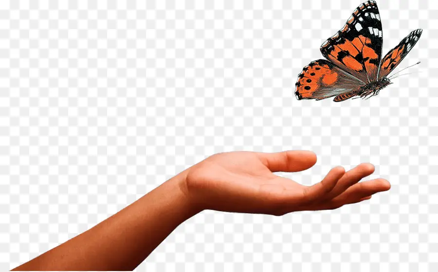 Mariposa，Mano PNG