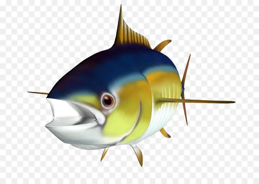 El Atún Blanco，Los Peces PNG