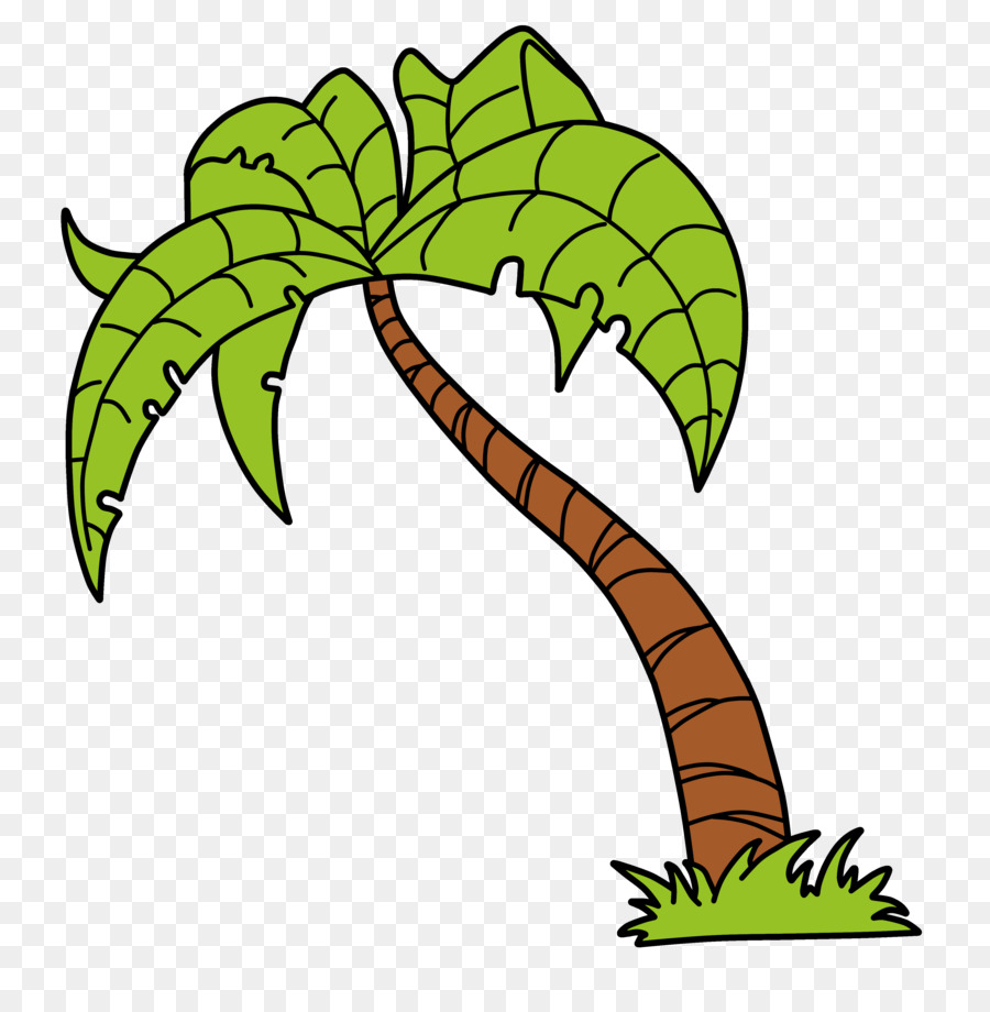 Arecaceae，árbol PNG