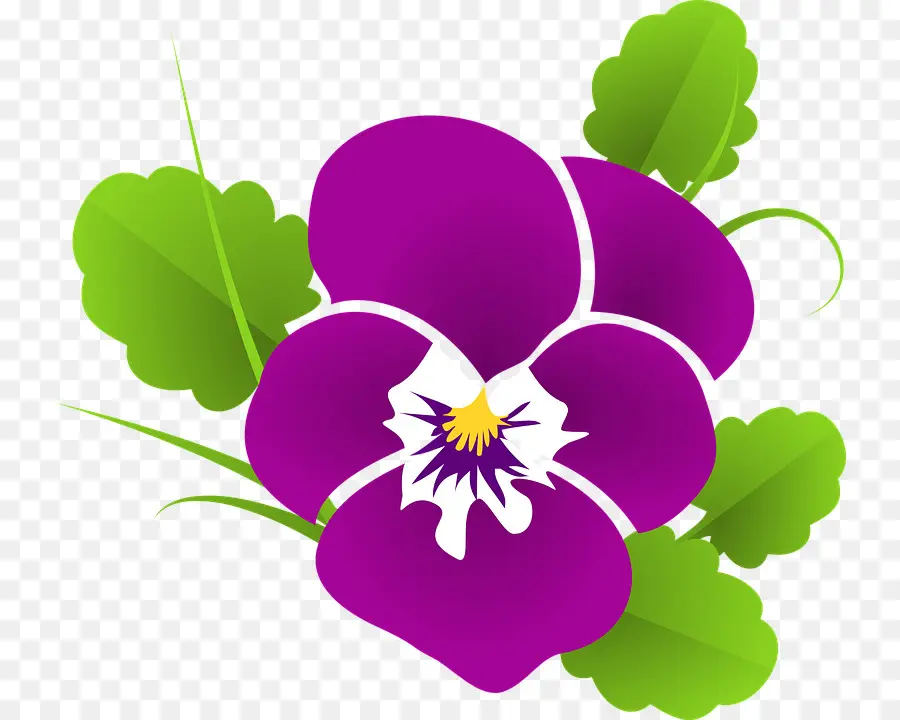 Flor Morada，Hojas Verdes PNG