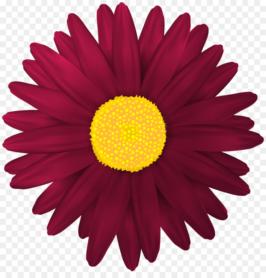 Flor Rosa，Florecer PNG