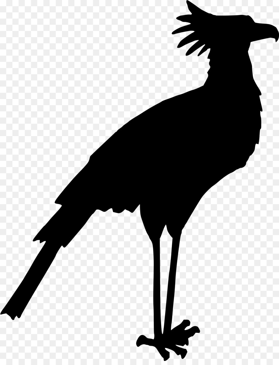 Pájaro，Dibujo PNG