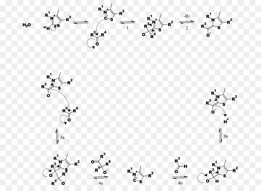 Pirofosfato De Tiamina，Tiamina PNG