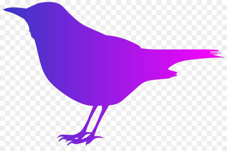 Pájaro，Los Cuervos PNG