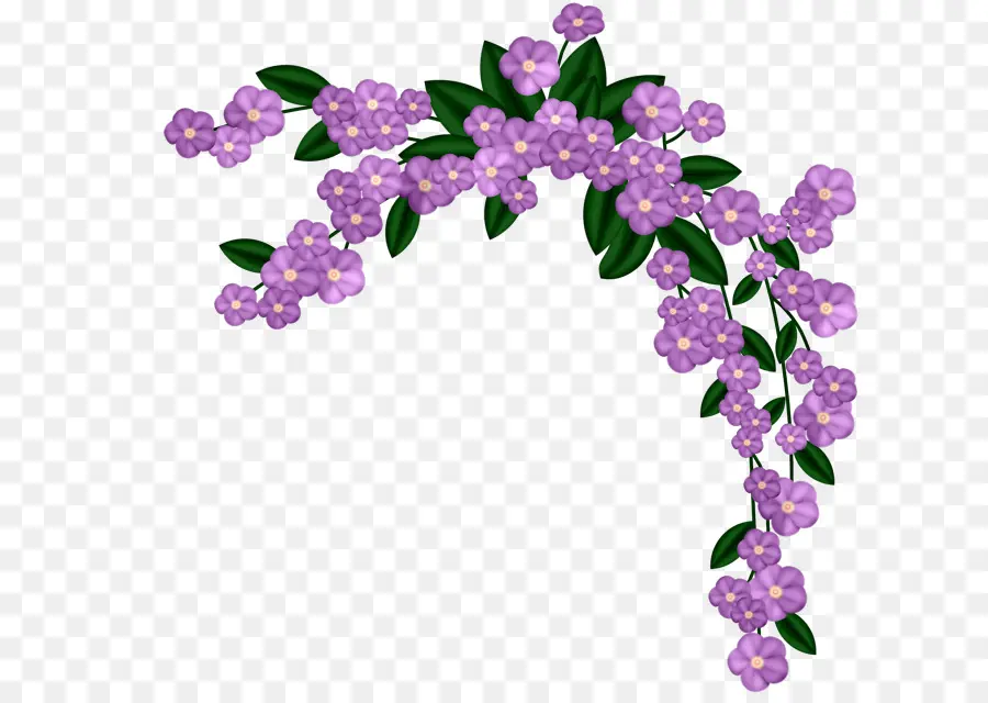 Flores Moradas，Florecer PNG