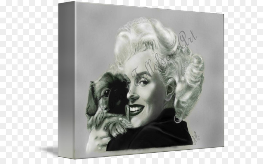 Marilyn Monroe，Una Fotografía De Stock PNG