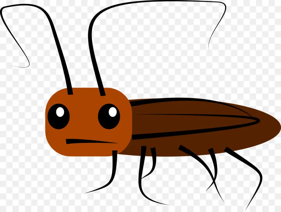 Cucaracha，De Dibujos Animados PNG