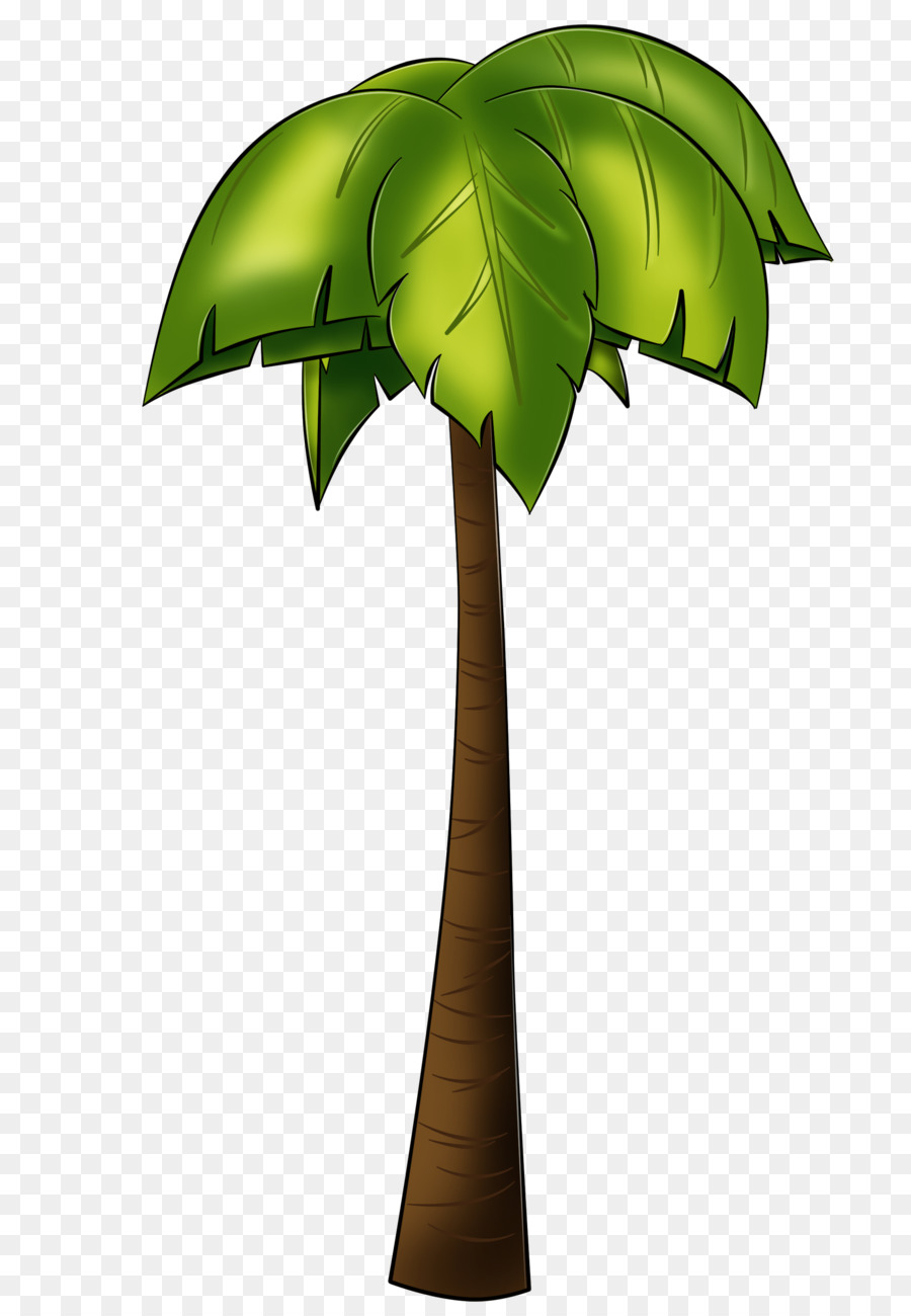 árbol，Arecaceae PNG