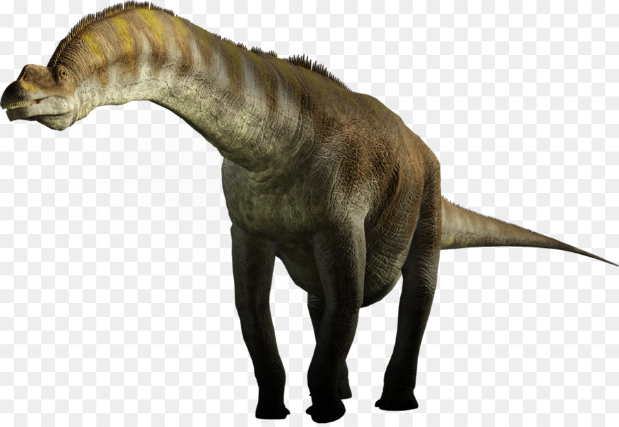 Dinosaurio De Tamaño，Tyrannosaurus PNG