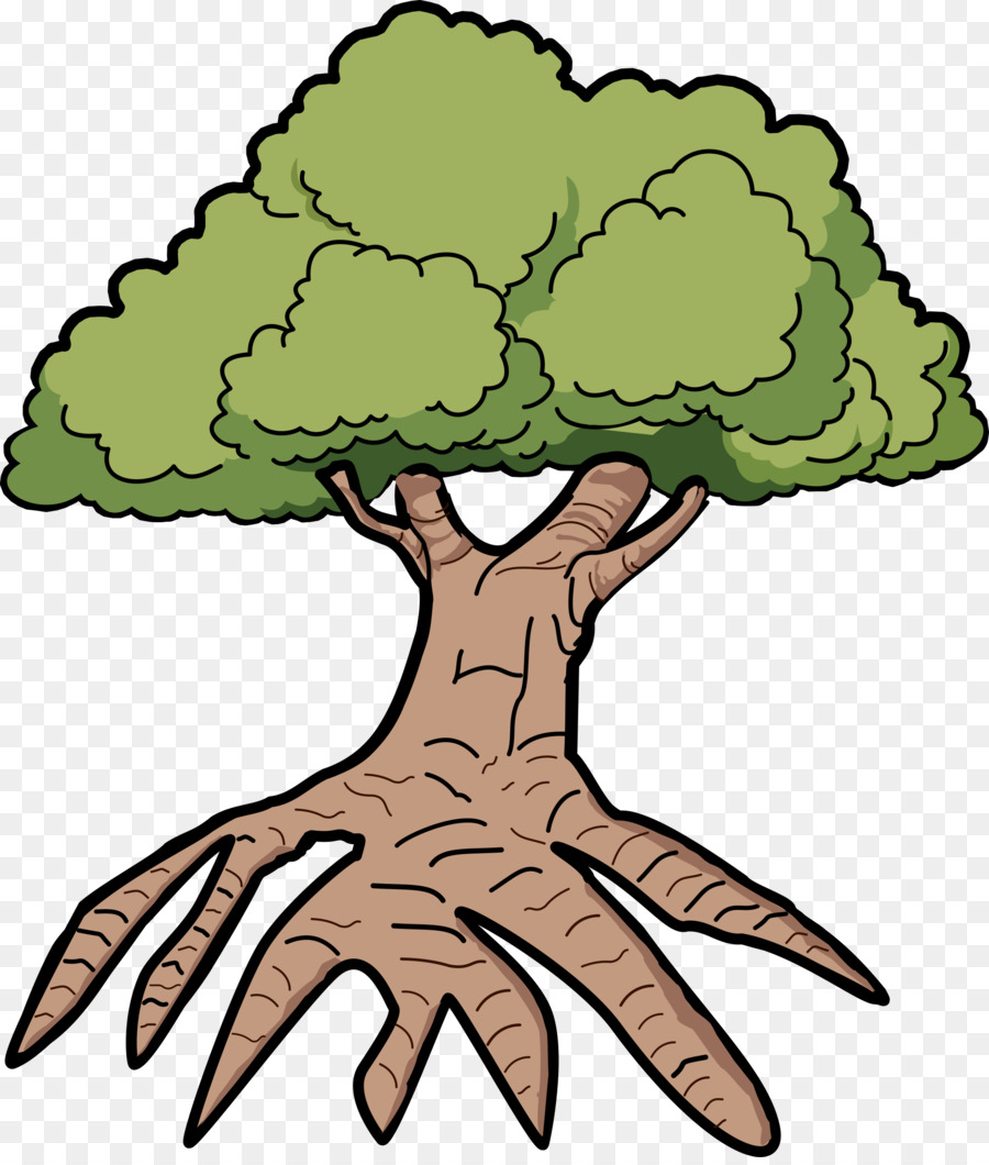 Árbol Con Raíces，Raíces PNG