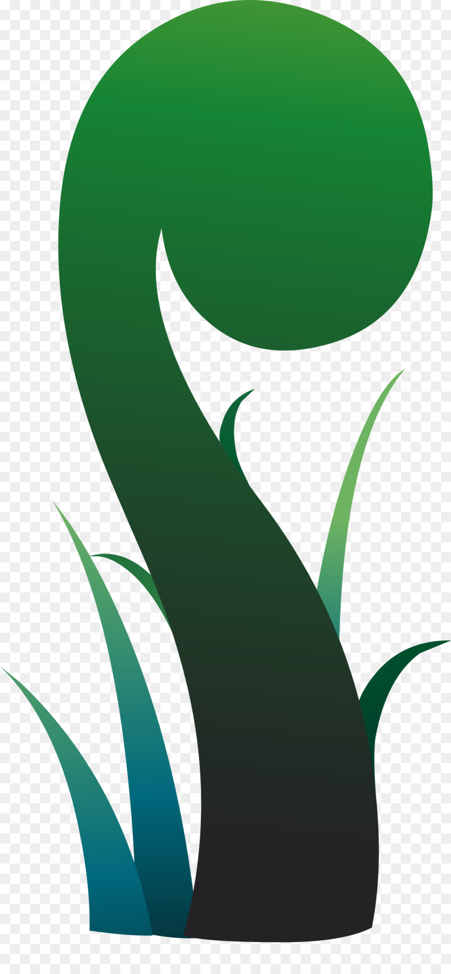 Hoja，Fern PNG