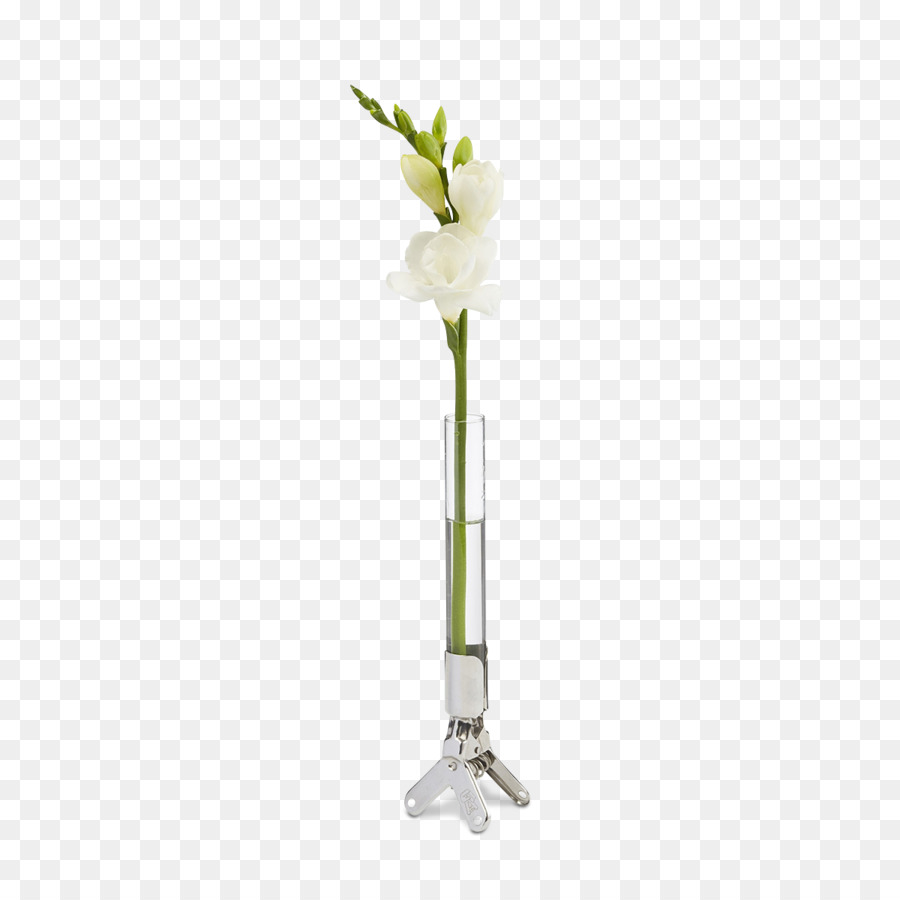 Flor En Florero，Flor PNG