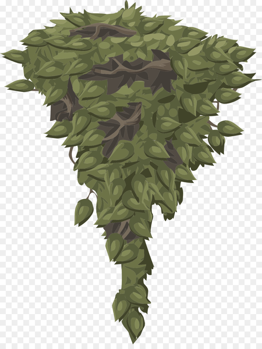 Hoja，árbol PNG