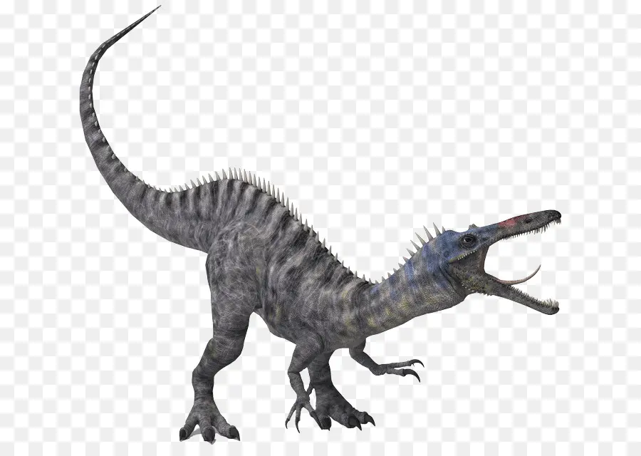 Baryonyx，Velociraptor PNG