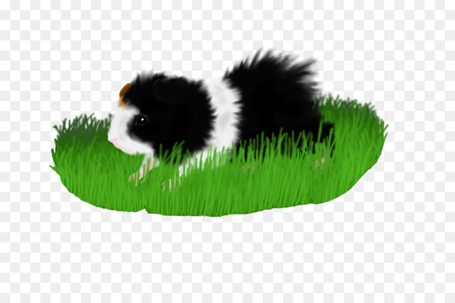 Perro，Cachorro PNG