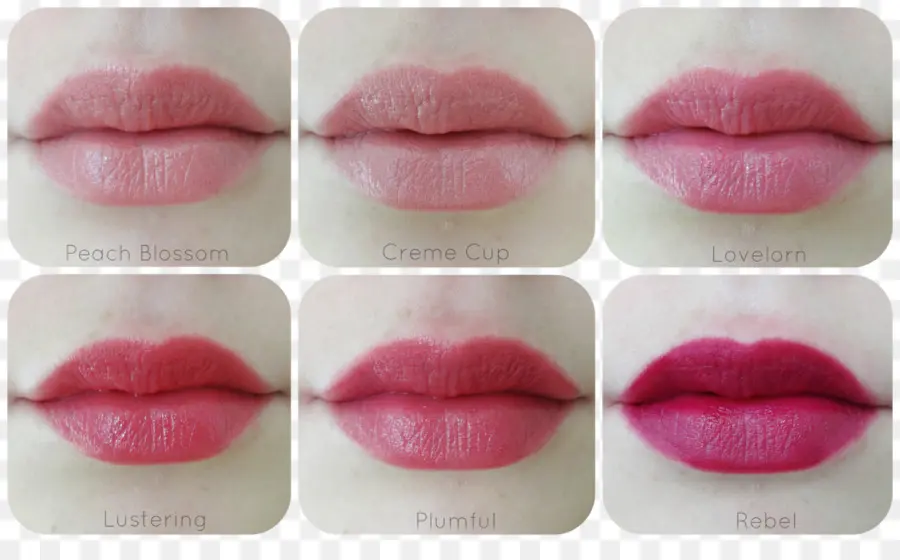 Tonos De Lápiz Labial，Labios PNG