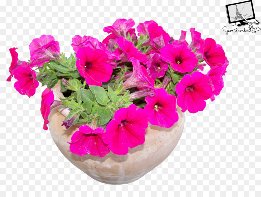 Flores Rosadas，Olla PNG