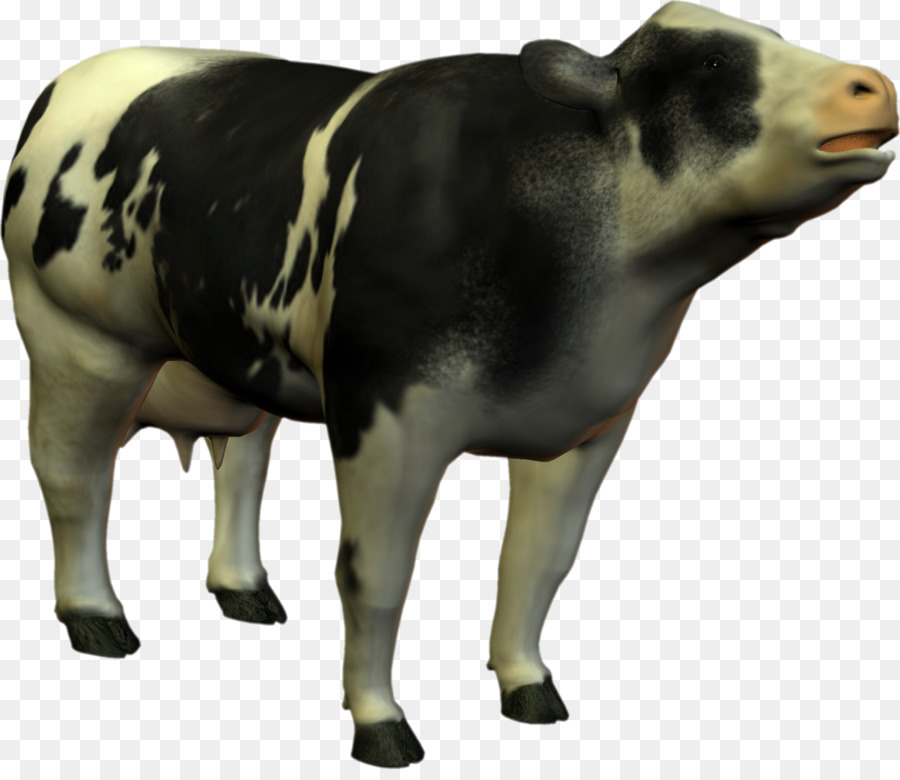 Vaca，Ganado PNG