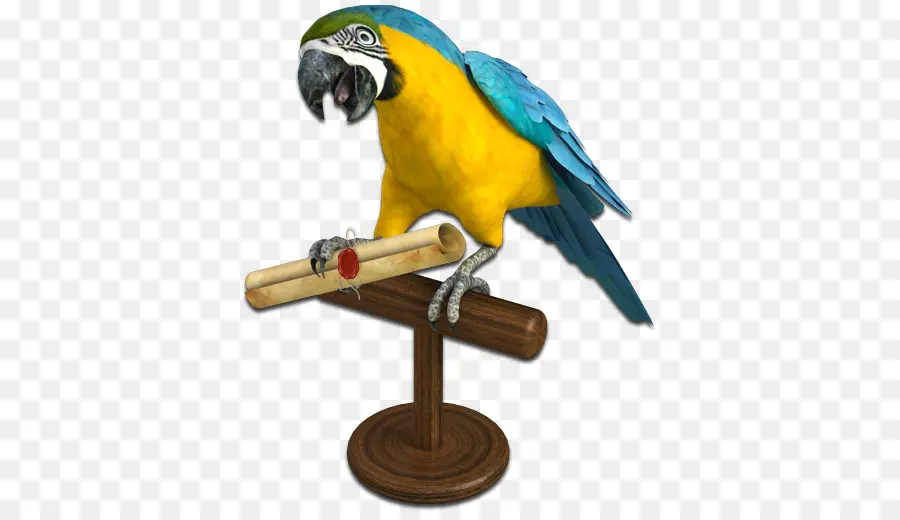 Parrot，Iconos De Equipo PNG