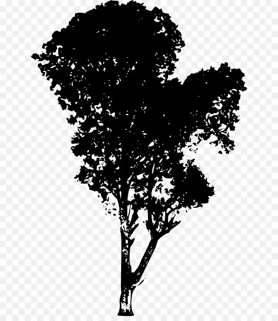 árbol，Silueta PNG