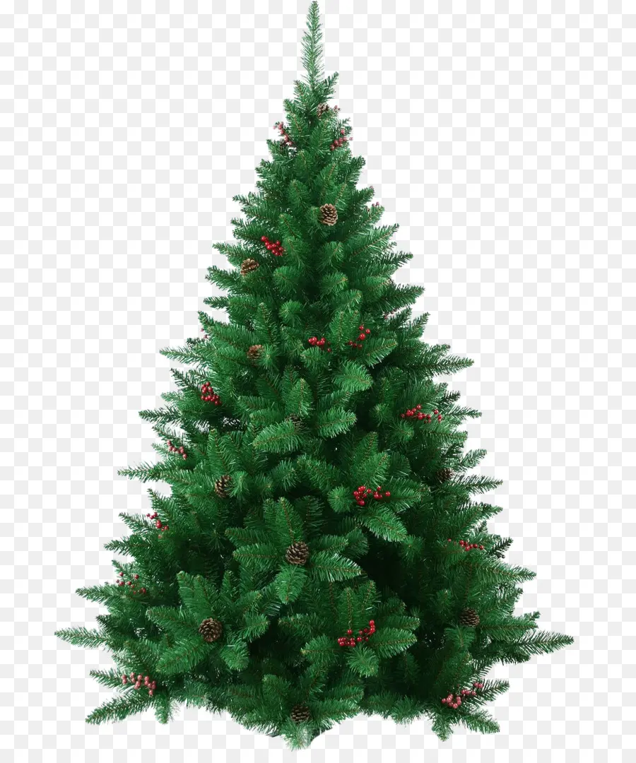 El Abeto De Fraser，árbol De Navidad PNG