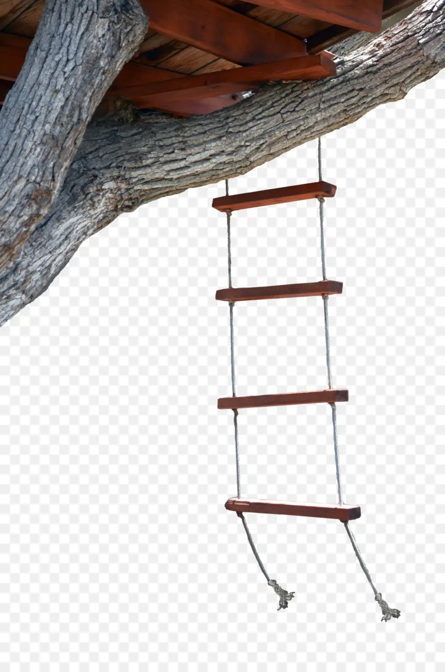 Escalera De La Casa Del árbol，Árbol PNG