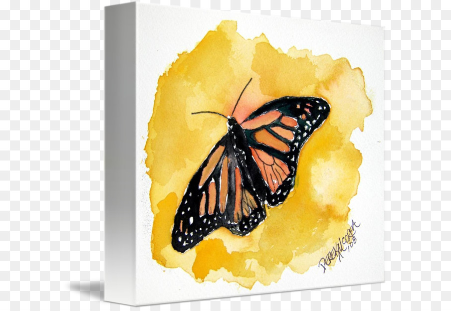 Mariposa，Pintura A La Acuarela PNG