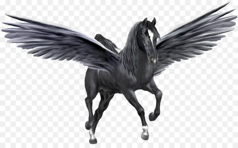 Pegasus，Unicornio PNG