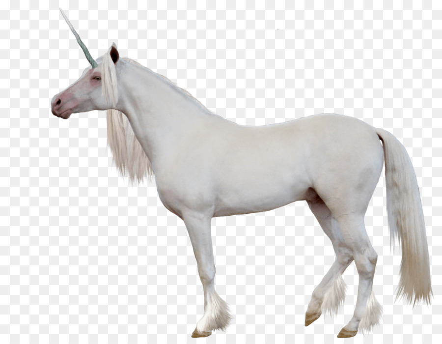 Unicornio，Iconos De Equipo PNG