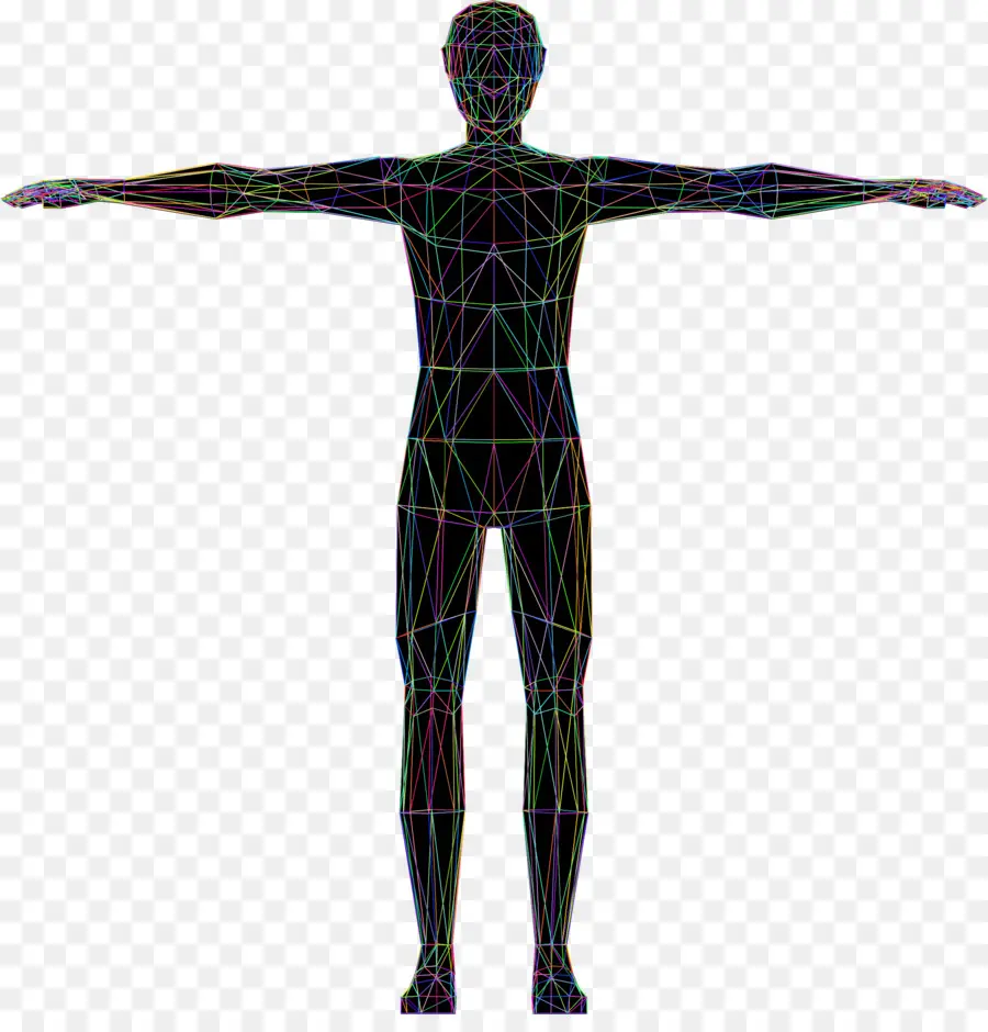 Hombre De Vitruvio，Cuerpo Humano PNG