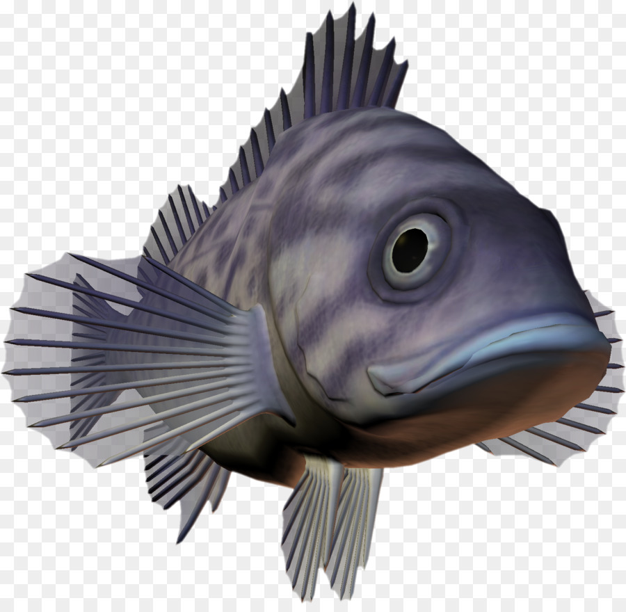 Pescado Azul，Pez PNG